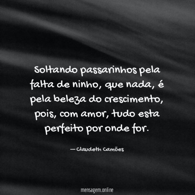 Soltando passarinhos pela falta de ninho