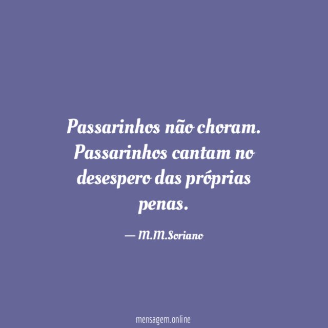 Passarinhos não choram
