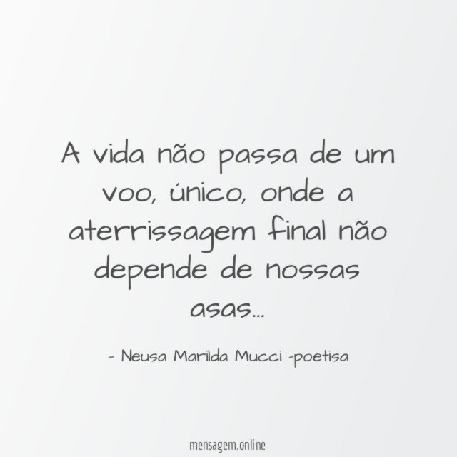 A vida não passa de um voo