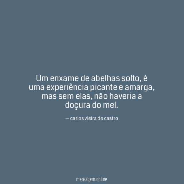 Um enxame de abelhas solto