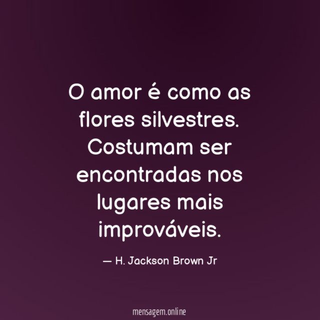 O amor é como as flores silvestres