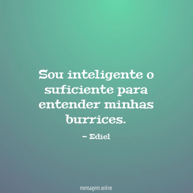 Sou inteligente o suficiente para entender minhas burrices