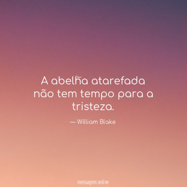 A abelha atarefada não tem tempo para a tristeza