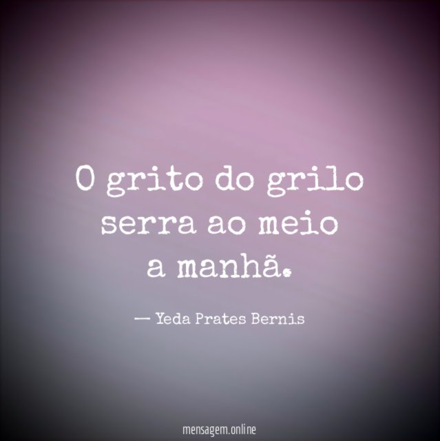 O grito do grilo serra ao meio a manhã