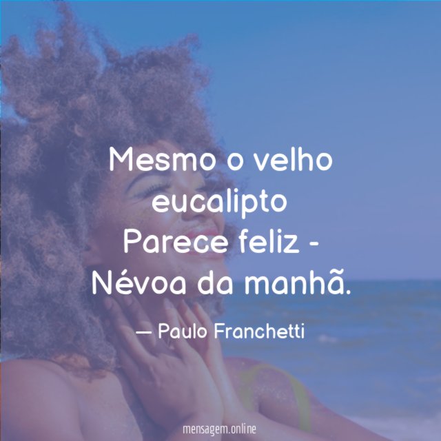 Mesmo o velho eucalipto Parece feliz - Névoa da manhã