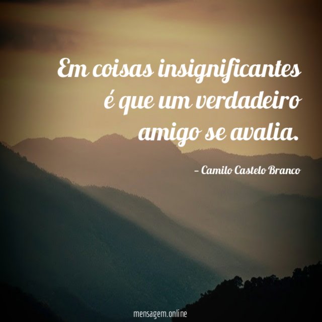 Em coisas insignificantes é que um verdadeiro amigo se avalia