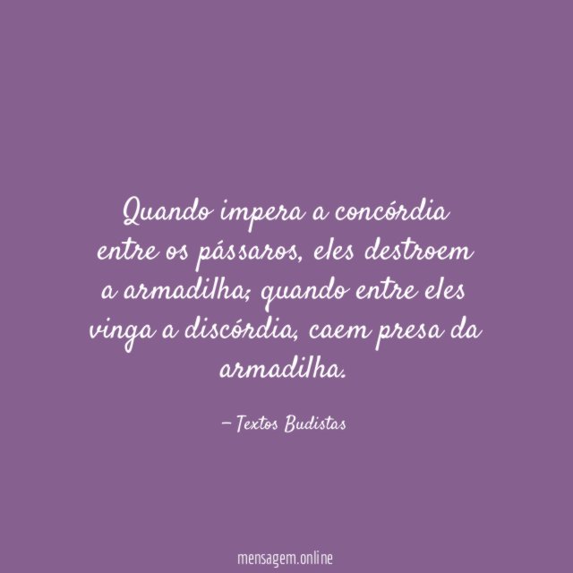 Quando impera a concórdia entre os pássaros