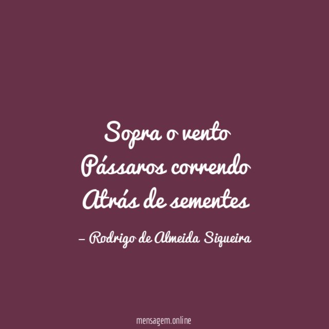 Sopra o vento Pássaros correndo Atrás de sementes