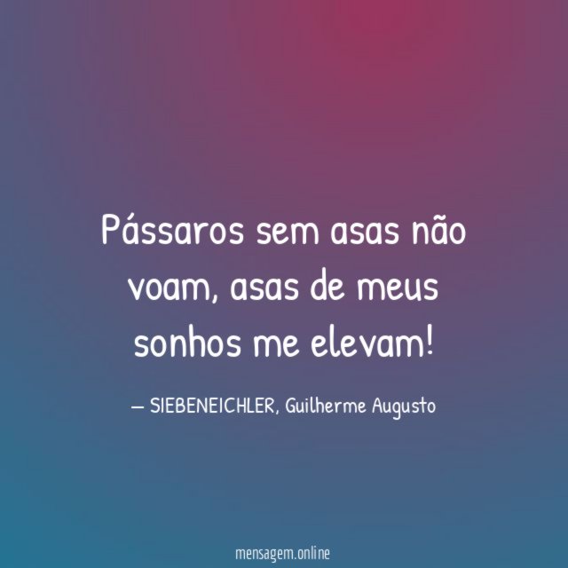 Pássaros sem asas não voam