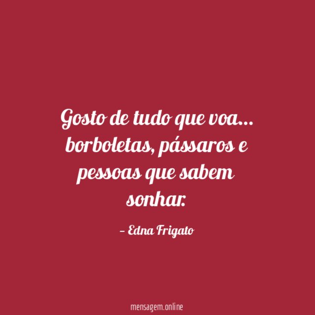 Gosto de tudo que voa
