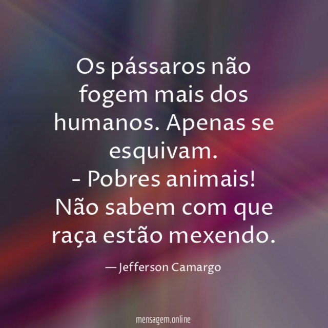 Os pássaros não fogem mais dos humanos