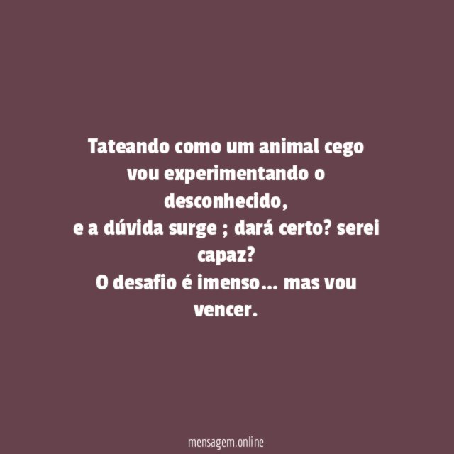 Tateando como um animal cego vou experimentando o desconhecido
