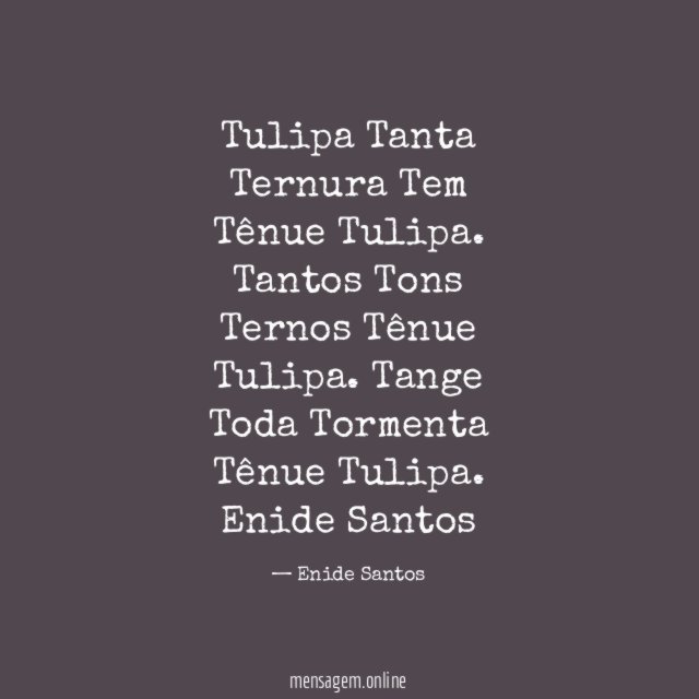 Tulipa