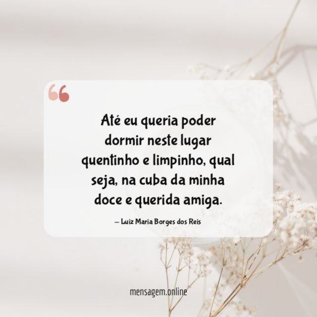 Até eu queria poder dormir neste lugar quentinho e limpinho