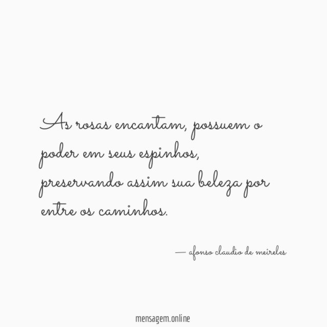 As rosas encantam
