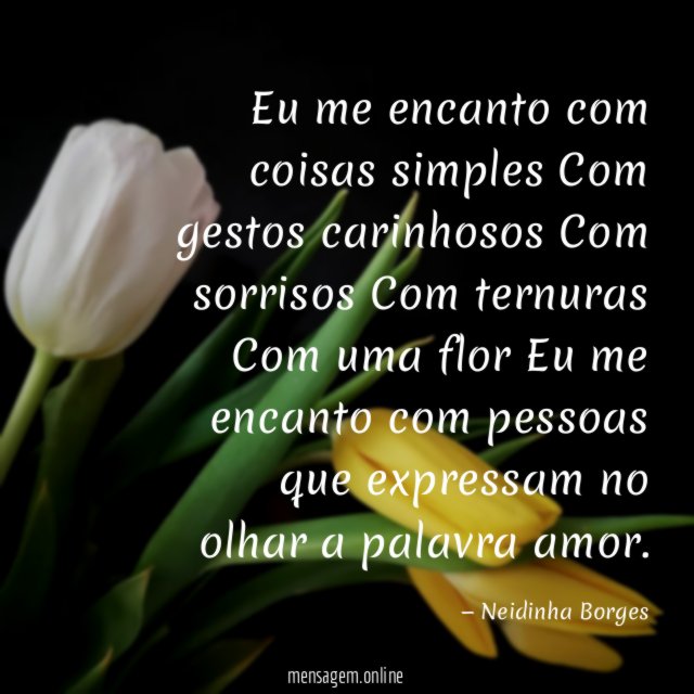 Eu me encanto com coisas simples Com gestos carinhosos Com