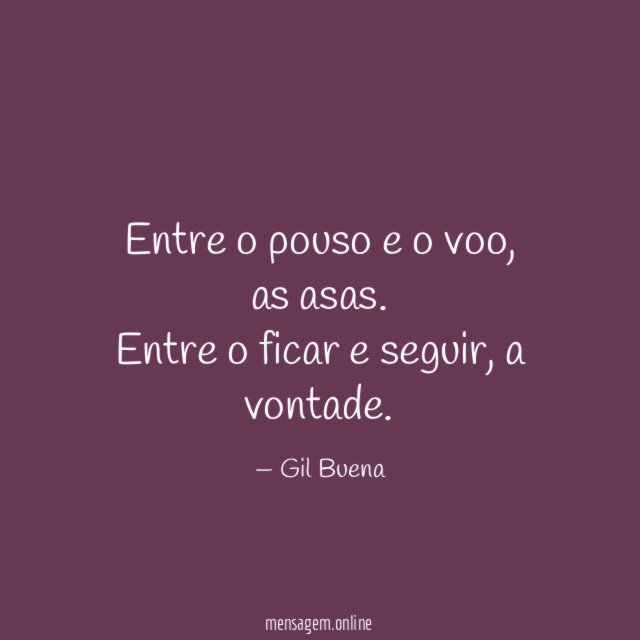 Entre o pouso e o voo