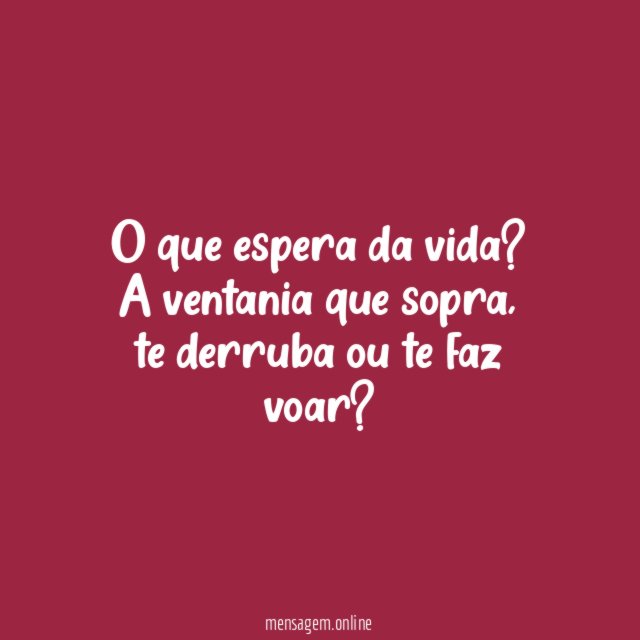 Você decide o rumo