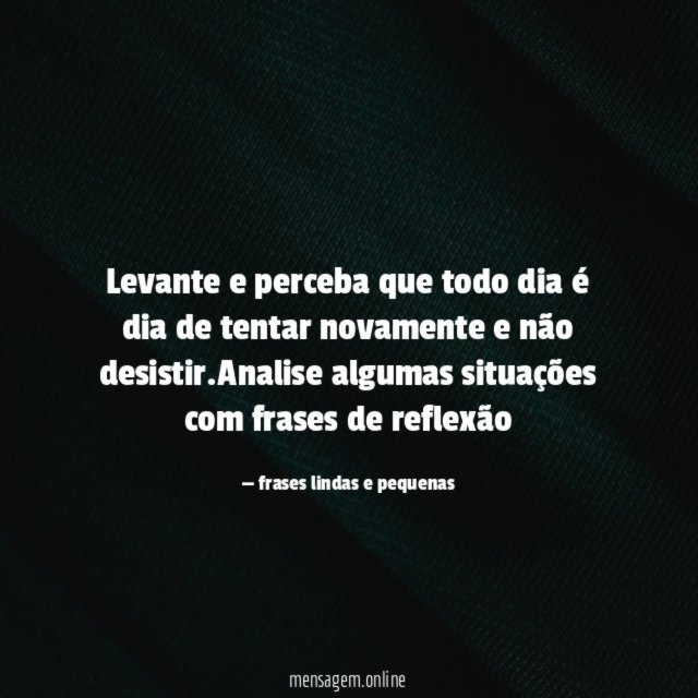 Todo dia é dia
