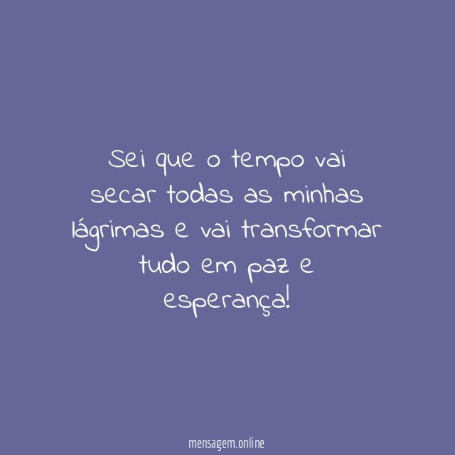 O meu tempo