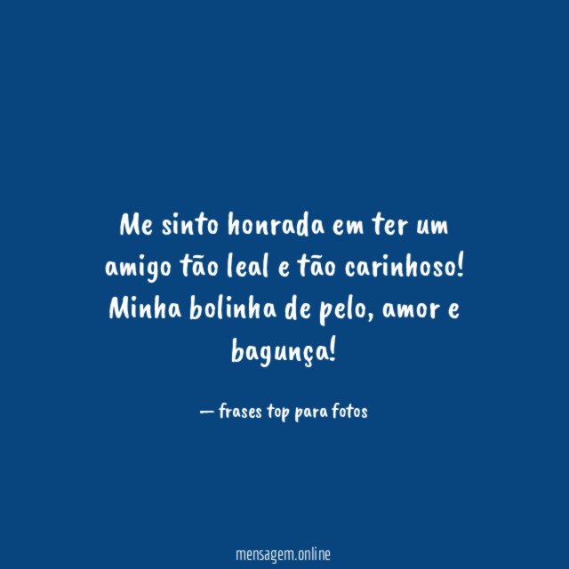 Meu amigo de quatro patas