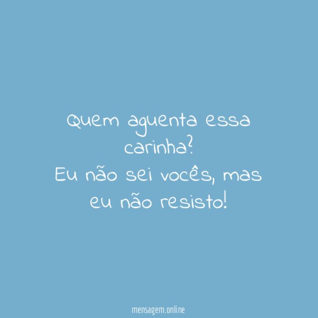 Pets engraçadinhos