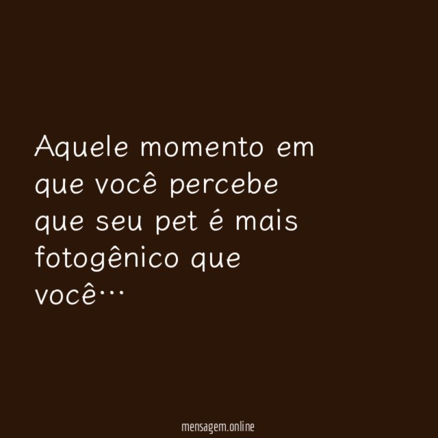 PETs fotogênicos