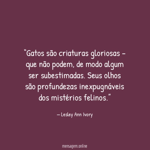 A gloriosidade dos gatos