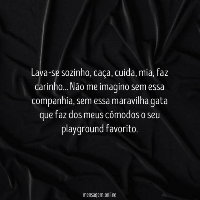 Os meus cômodos são como um playground