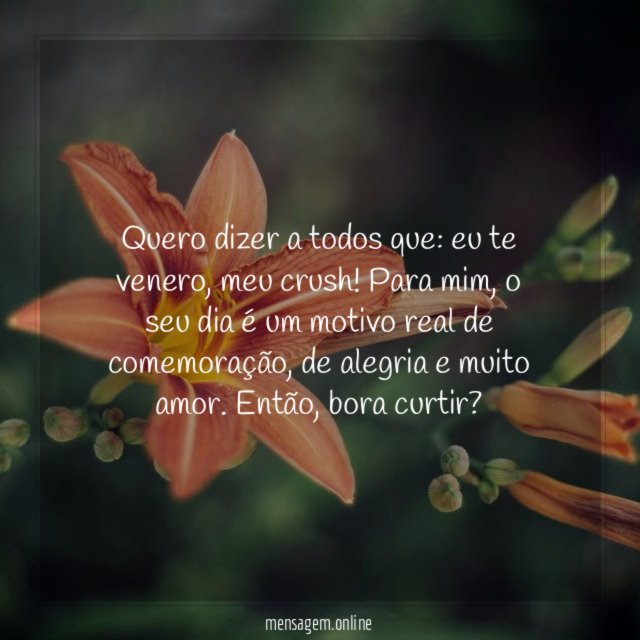 Um dia de comemoração