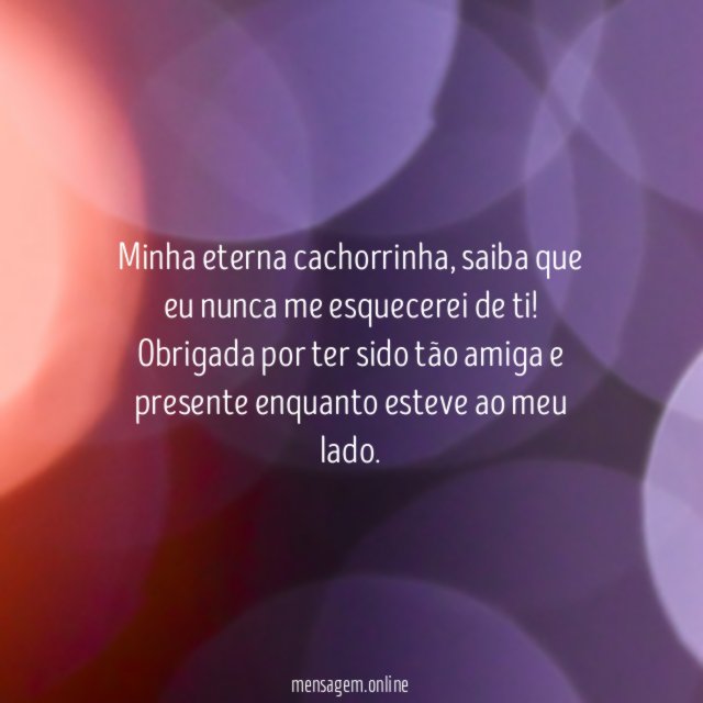 Minha amiga, minha cachorra