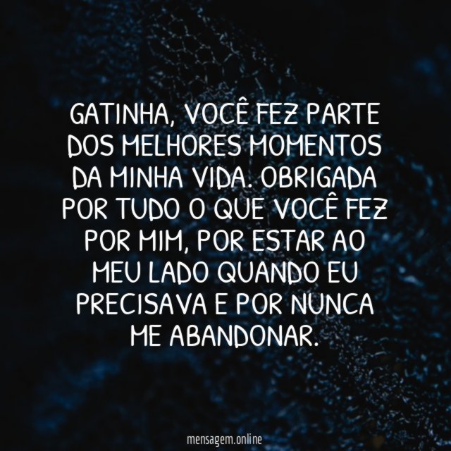 Obrigada por ter feito parte da minha vida