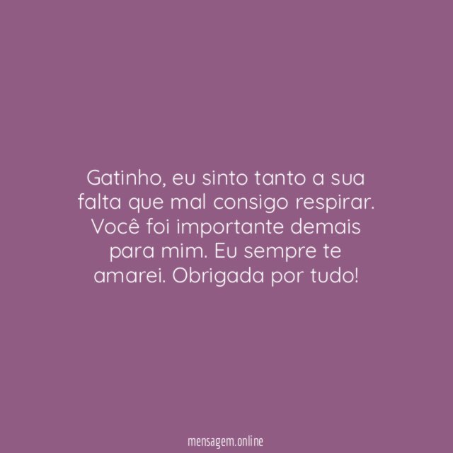 Sinto a sua falta, gatinho