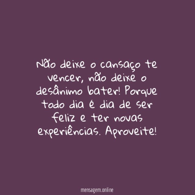 Todo dia é dia