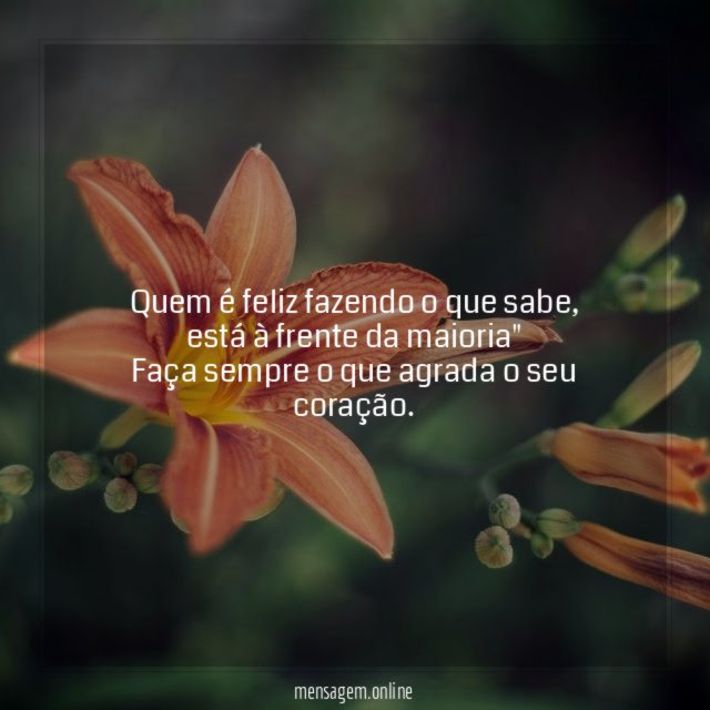 A felicidade do fazer