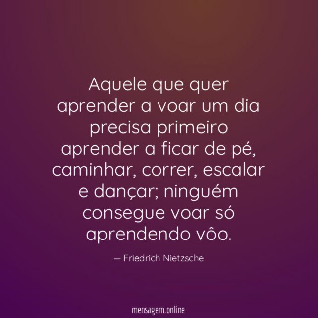 Aquele que quer aprender a voar um dia