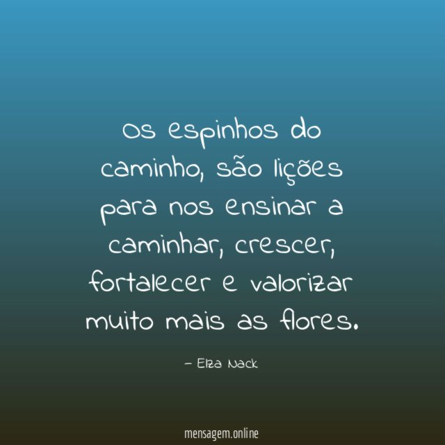 Os espinhos do caminho