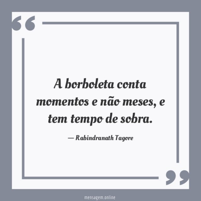 A borboleta conta momentos e não meses