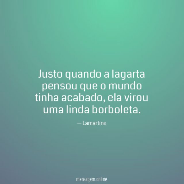 Justo quando a lagarta pensou que o mundo tinha acabado