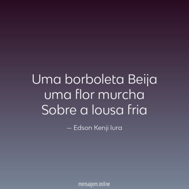 Uma borboleta Beija uma flor murcha Sobre a lousa fria