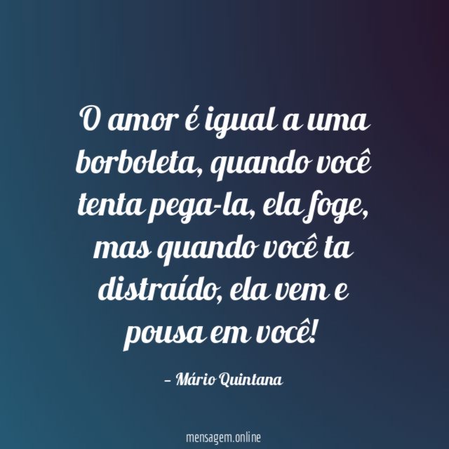 O amor é igual a uma borboleta