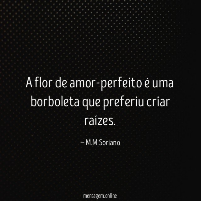 A flor de amor-perfeito é uma borboleta que preferiu criar raízes