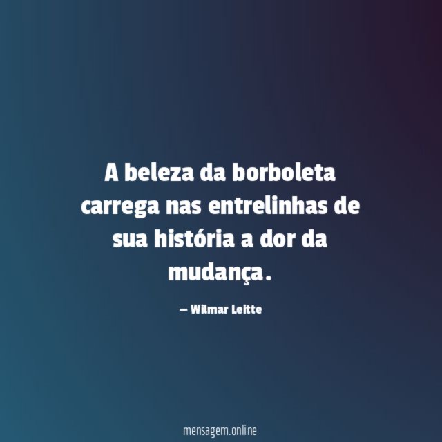 A beleza da borboleta carrega nas entrelinhas de