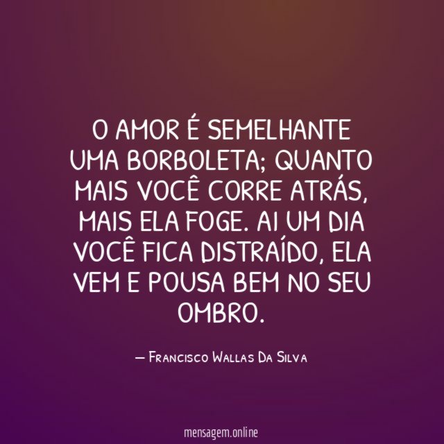 O amor é semelhante uma borboleta