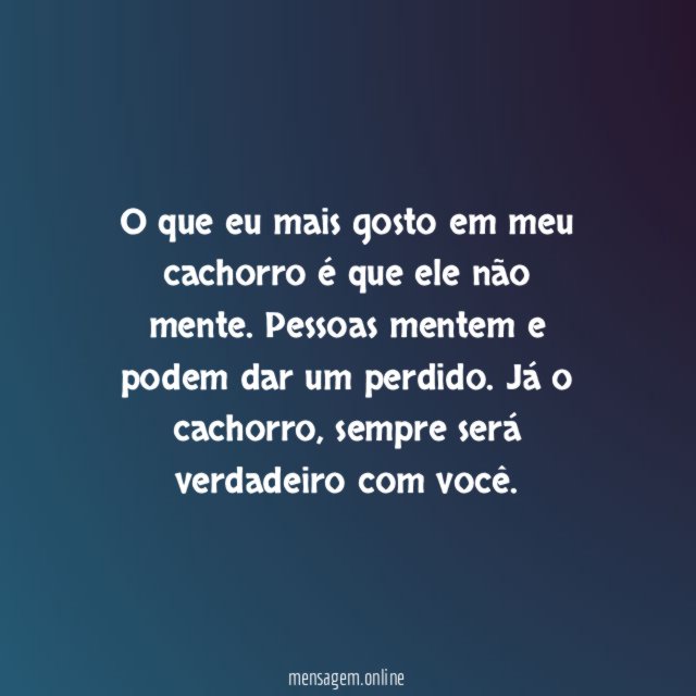 Cachorros não mentem