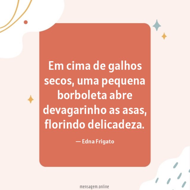 Em cima de galhos secos