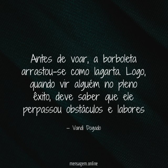 Antes de voar