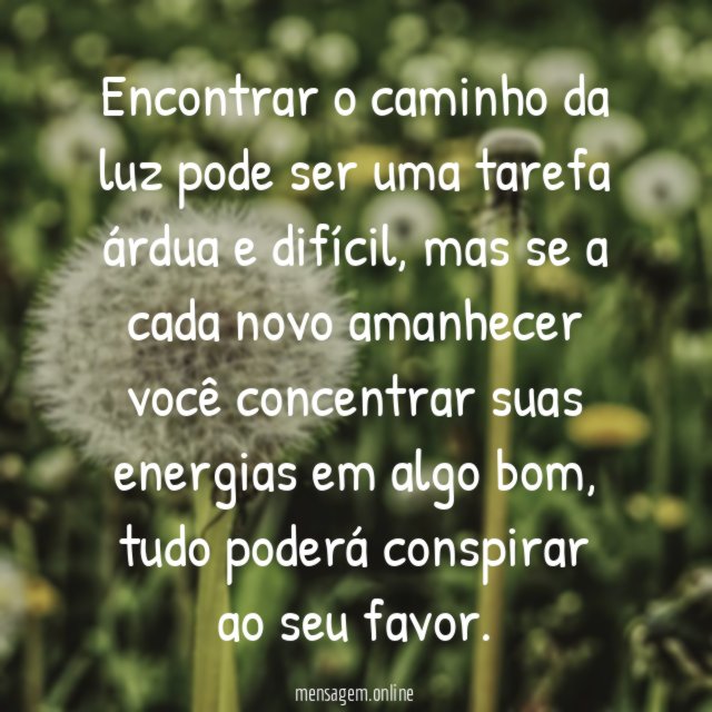 Para encontrar o caminho da luz