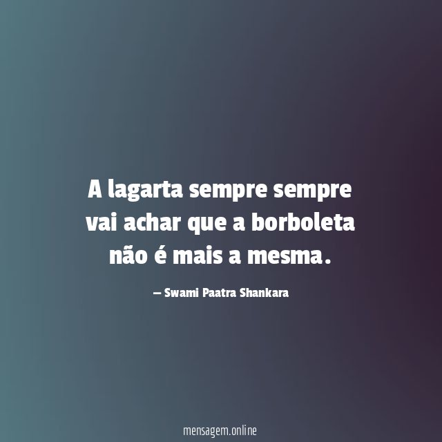 A lagarta sempre sempre vai achar que a
