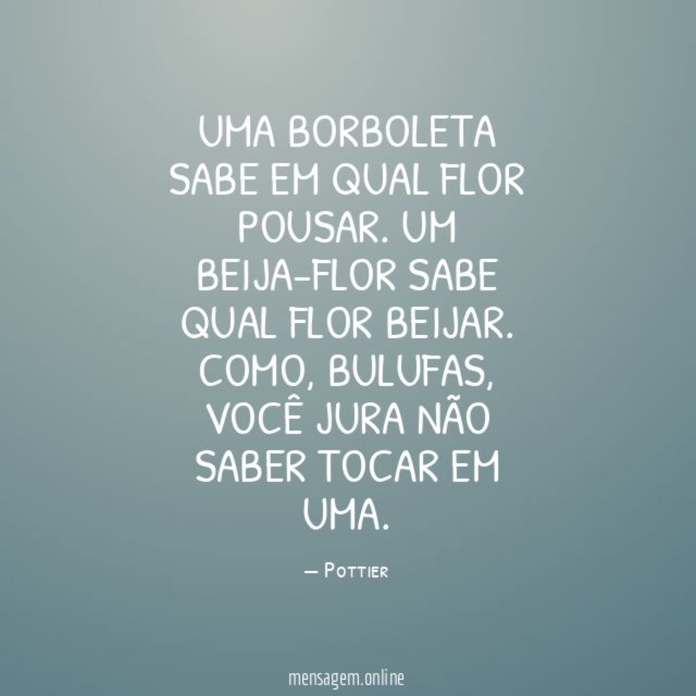 Uma borboleta sabe em qual flor pousar